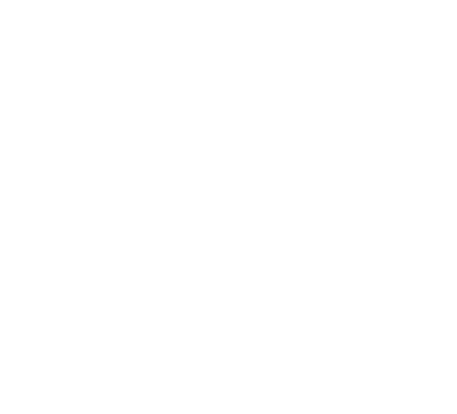 eagleshirts